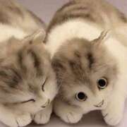 ヒメ日記 2026/03/26 12:25 投稿 あんず ぷるるんマダム 十三店