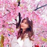 ヒメ日記 2026/04/13 16:33 投稿 凛（りん） Bijou R