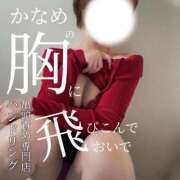 かなめ 🐢パフパフできるかな笑🐢 ハンドリング　亀頭責め専門店