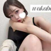 ヒメ日記 2026/03/26 19:19 投稿 わかば IRIS(岐阜)