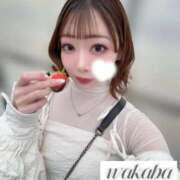 ヒメ日記 2026/03/31 21:57 投稿 わかば IRIS(岐阜)