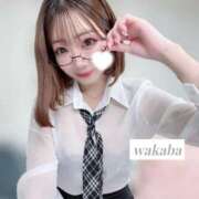 ヒメ日記 2026/04/10 12:41 投稿 わかば IRIS(岐阜)