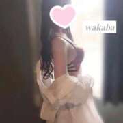 ヒメ日記 2026/04/14 00:06 投稿 わかば IRIS(岐阜)