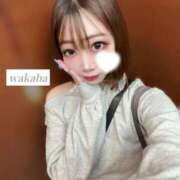 ヒメ日記 2026/04/16 14:26 投稿 わかば IRIS(岐阜)