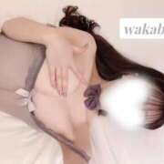 ヒメ日記 2026/04/18 18:46 投稿 わかば IRIS(岐阜)
