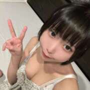 ほたる しゅっきん！ シャロン横浜