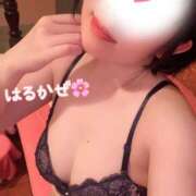 ヒメ日記 2026/03/24 09:40 投稿 はるかぜ ハピネス水戸