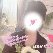 ヒメ日記 2026/03/26 10:30 投稿 はるかぜ ハピネス水戸