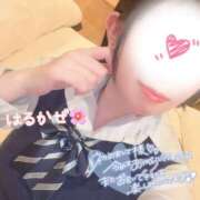 ヒメ日記 2026/03/28 08:54 投稿 はるかぜ ハピネス水戸