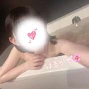 ヒメ日記 2026/03/28 17:00 投稿 はるかぜ ハピネス水戸