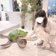 ヒメ日記 2026/09/05 16:20 投稿 なつ ピンクコレクションBabyキタ兎我野店