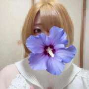 ヒメ日記 2026/03/26 10:02 投稿 こゆき 宮城仙南ちゃんこ