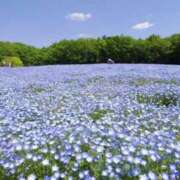 ちこ★UL対応 好きな花つきでこんにちは Blue Moon