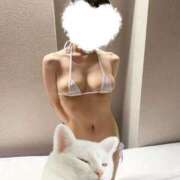 ヒメ日記 2026/03/24 18:56 投稿 はつね 横浜ひよこ倶楽部