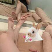 はつね こんばんは✨ Lolipop 横浜