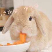 ヒメ日記 2026/08/13 10:51 投稿 朝比奈ゆうな 熟女パラダイス鶯谷店(カサブランカグループ)