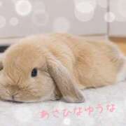 ヒメ日記 2026/09/13 14:32 投稿 朝比奈ゆうな 熟女パラダイス鶯谷店(カサブランカグループ)