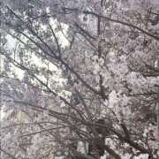 ヒメ日記 2026/03/24 23:53 投稿 ゆみな もしも清楚な20、30代の妻とキスイキできたら横浜店