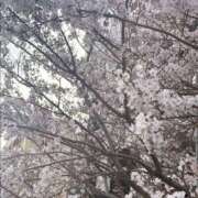 ヒメ日記 2026/03/24 23:50 投稿 ゆみな もしも素敵な妻が指輪をはずしたら・・・