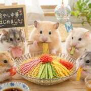 ヒメ日記 2026/04/26 13:46 投稿 守屋玖美(もりやくみ) 五十路マダムエクスプレス厚木店(カサブランカグループ)