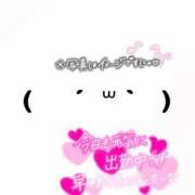 あやか 出勤\( ᐙ )/♡ しろうとCollection