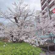ヒメ日記 2026/04/15 10:27 投稿 あやか しろうとCollection