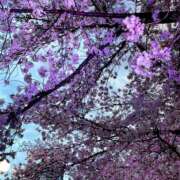 れあ ∗*ﾟ0414① Second Love（セカンドラブ）