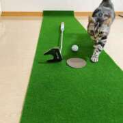 ヒメ日記 2026/08/14 08:19 投稿 阿澄(あすみ) 八王子人妻城