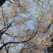 ヒメ日記 2026/04/05 10:00 投稿 みおん 熟女の風俗最終章 町田店