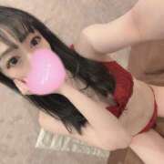 ヒメ日記 2026/04/07 05:01 投稿 ういか ビギナーズ和歌山