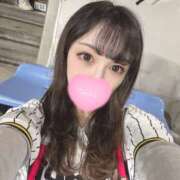 ヒメ日記 2026/04/10 13:51 投稿 ういか ビギナーズ和歌山