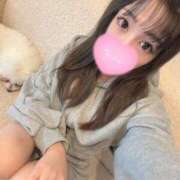 ヒメ日記 2026/04/14 04:21 投稿 ういか ビギナーズ和歌山