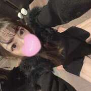 ヒメ日記 2026/04/14 13:21 投稿 ういか ビギナーズ和歌山