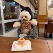 ヒメ日記 2026/04/18 14:41 投稿 ういか ビギナーズ和歌山