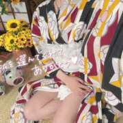 ヒメ日記 2026/07/20 13:51 投稿 ういか ビギナーズ和歌山