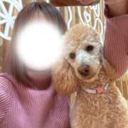 ヒメ日記 2026/03/29 13:53 投稿 ももこ 奥様はエンジェル　八王子店