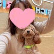 ヒメ日記 2026/04/01 12:52 投稿 ももこ 奥様はエンジェル　八王子店