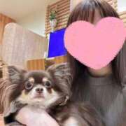 ヒメ日記 2026/04/06 21:14 投稿 ももこ 奥様はエンジェル　八王子店