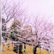 ヒメ日記 2026/03/28 23:49 投稿 さち 性腺熟女100％（デリヘル市場）