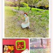 ヒメ日記 2026/04/03 13:29 投稿 さち 性腺熟女100％本店（デリヘル市場）