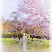 さち 糸桜🌸 性腺熟女100％鶯谷（デリヘル市場）