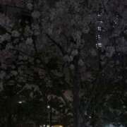 ヒメ日記 2026/04/07 12:09 投稿 あんな オズ 千葉栄町店