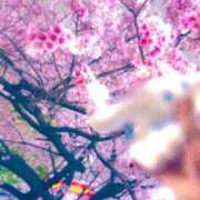 ヒメ日記 2026/03/30 21:11 投稿 Haru Otokawa PRECIOUS