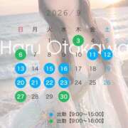 ヒメ日記 2026/09/01 10:11 投稿 Haru Otokawa PRECIOUS