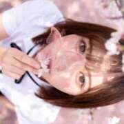 ヒメ日記 2026/03/25 14:04 投稿 コトリ　NEW 煌き -KIRAMEKI-（煌きグループ）