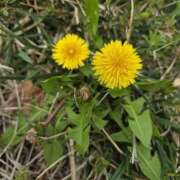 真理愛【まりあ】 おはようございます😊 人妻日和(久喜)