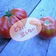 ヒメ日記 2026/03/29 09:41 投稿 風間 りょう こあくまな熟女たち 西川口店(KOAKUMAグループ)