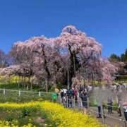 ヒメ日記 2026/04/07 21:30 投稿 高津 さわこ こあくまな熟女たち 千葉店（KOAKUMAグループ）
