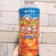 ヒメ日記 2026/04/07 00:43 投稿 燈花 BBW（ビッグビューティフルウーマン）