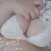 燈花 おはようございますとありがとう(｡･･｡)♡ BBW（ビッグビューティフルウーマン）